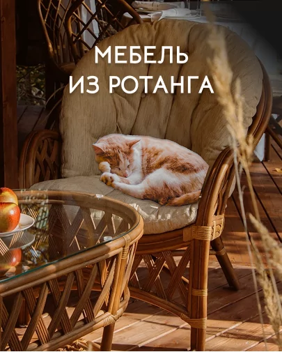 Мебель из ротанга