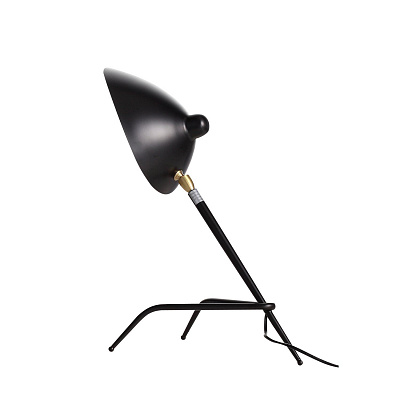 Лампа настольная ST LUCE SPRUZZO / СПРУЗЗО SL305.404.01